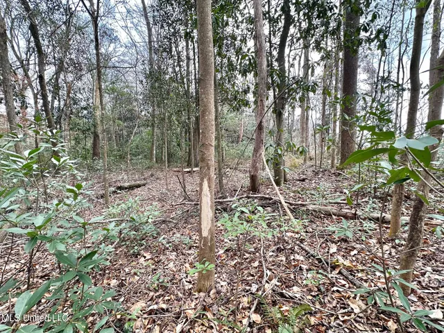 $385,000 | 0 Highway 469 North, Harrisville, MS 39082