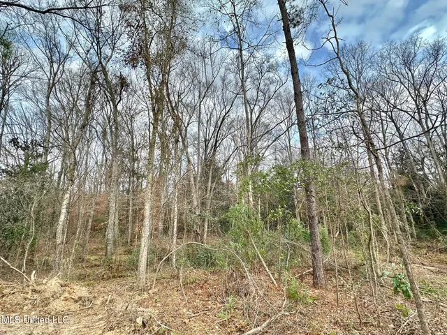 $385,000 | 0 Highway 469 North, Harrisville, MS 39082