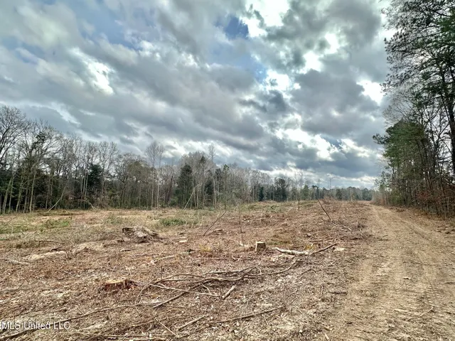 $385,000 | 0 Highway 469 North, Harrisville, MS 39082