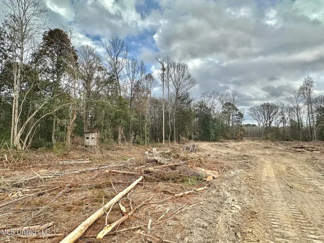 $385,000 | 0 Highway 469 North, Harrisville, MS 39082