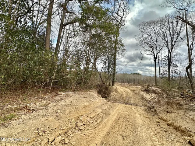 $385,000 | 0 Highway 469 North, Harrisville, MS 39082