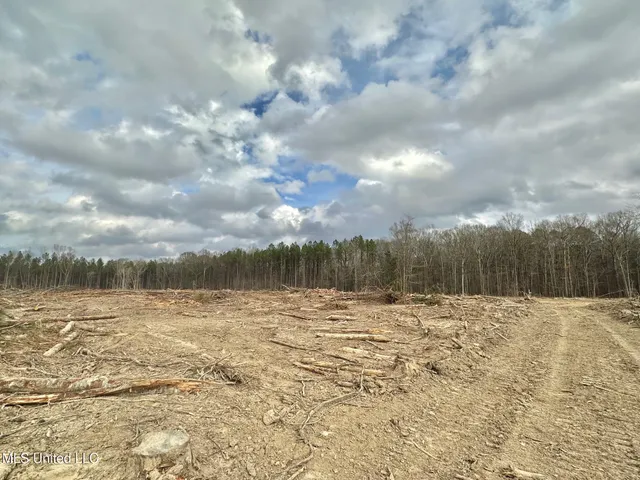 $385,000 | 0 Highway 469 North, Harrisville, MS 39082