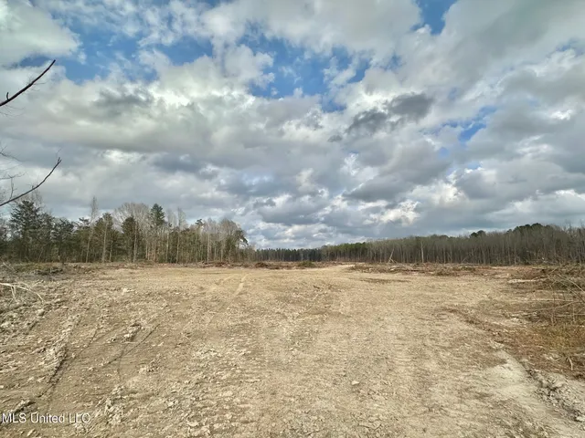 $385,000 | 0 Highway 469 North, Harrisville, MS 39082