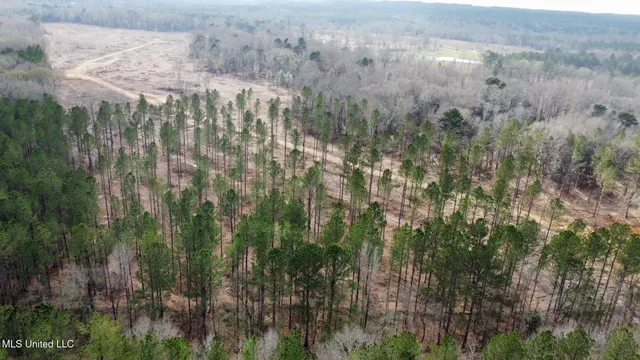 $385,000 | 0 Highway 469 North, Harrisville, MS 39082