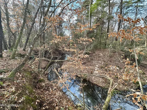 $295,000 | 0 Highway 469 North, Harrisville, MS 39082