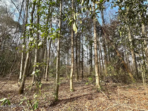 $295,000 | 0 Highway 469 North, Harrisville, MS 39082