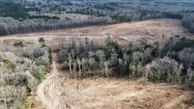 $385,000 | 0 Highway 469 North, Harrisville, MS 39082