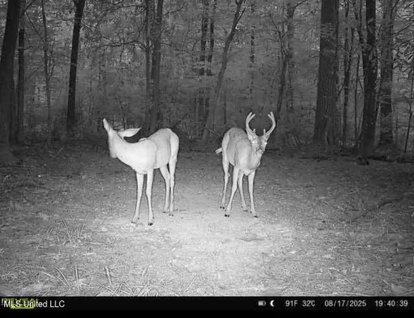 $295,000 | 0 Highway 469 North, Harrisville, MS 39082