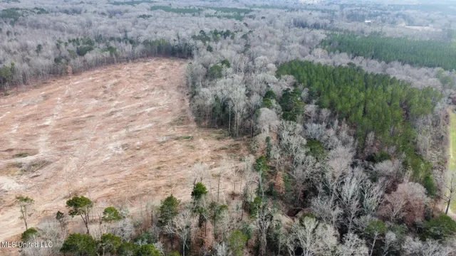 $385,000 | 0 Highway 469 North, Harrisville, MS 39082