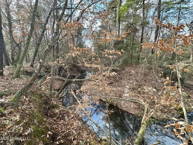 $385,000 | 0 Highway 469 North, Harrisville, MS 39082