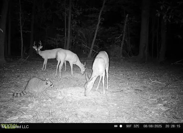 $295,000 | 0 Highway 469 North, Harrisville, MS 39082