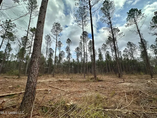 $295,000 | 0 Highway 469 North, Harrisville, MS 39082