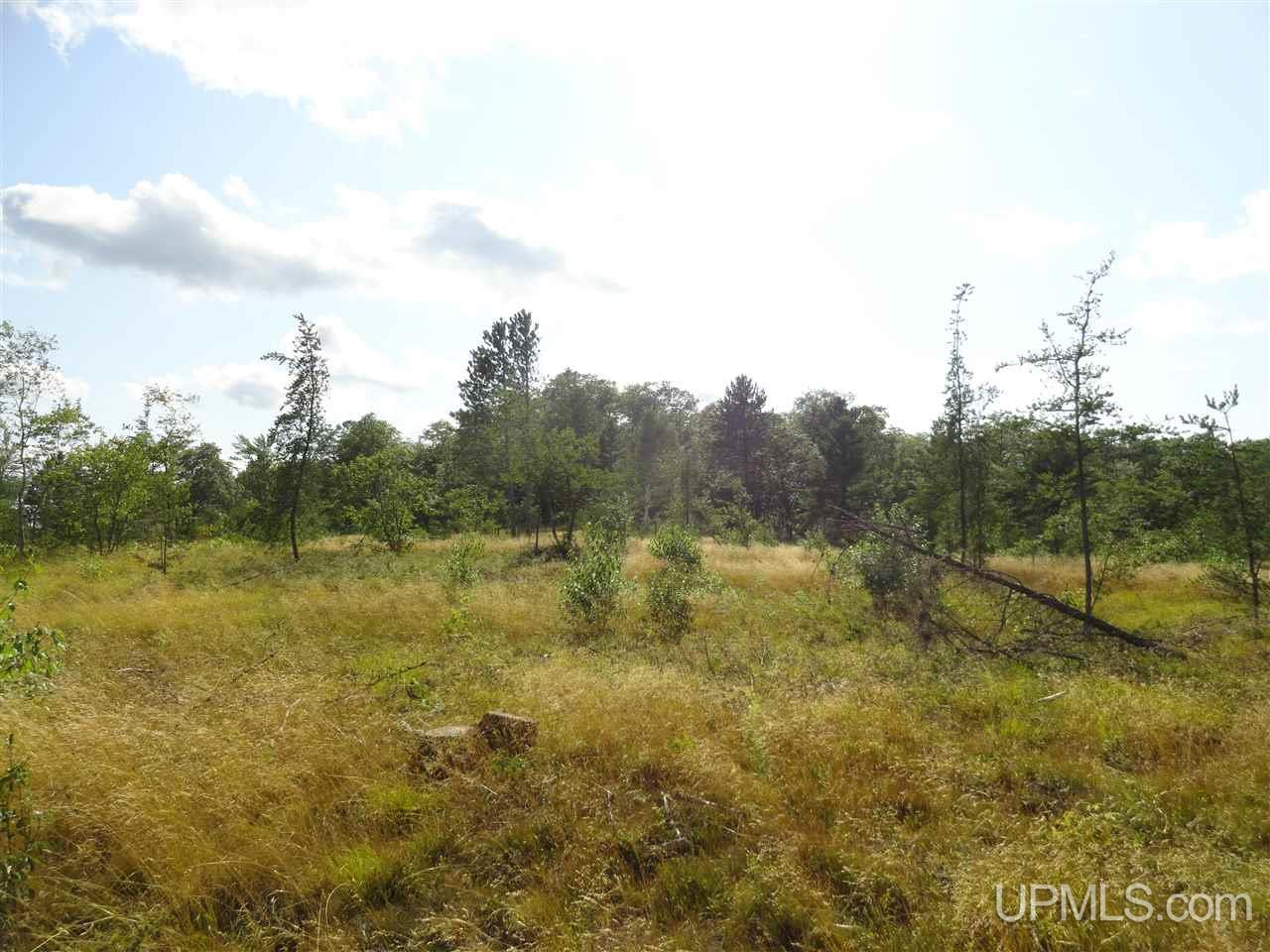 143-acres County Rd FF Republic, MI 49879 - Photo 8 of 18