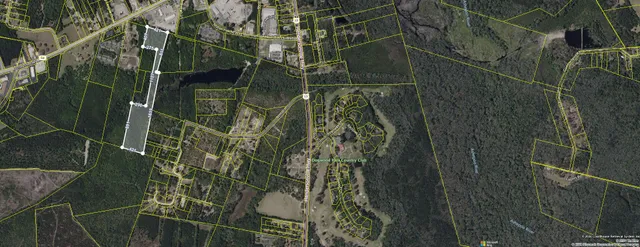 $250,000 | A A Sniders Highway, Walterboro, SC 29488