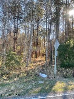 242 Indian Trail Road Edenton, NC 27932 - Photo 5 of 5 IMG_4823