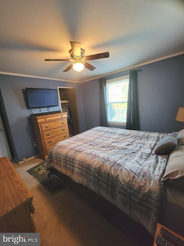 103 Spotted Tavern Road Fredericksburg, VA 22406 - Photo 13 of 31 Primary Bedroom