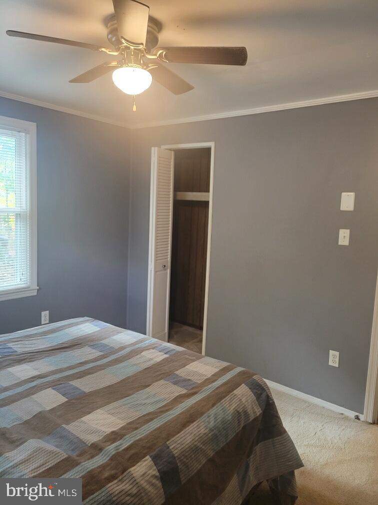 103 Spotted Tavern Road Fredericksburg, VA 22406 - Photo 15 of 31 Bedroom 2