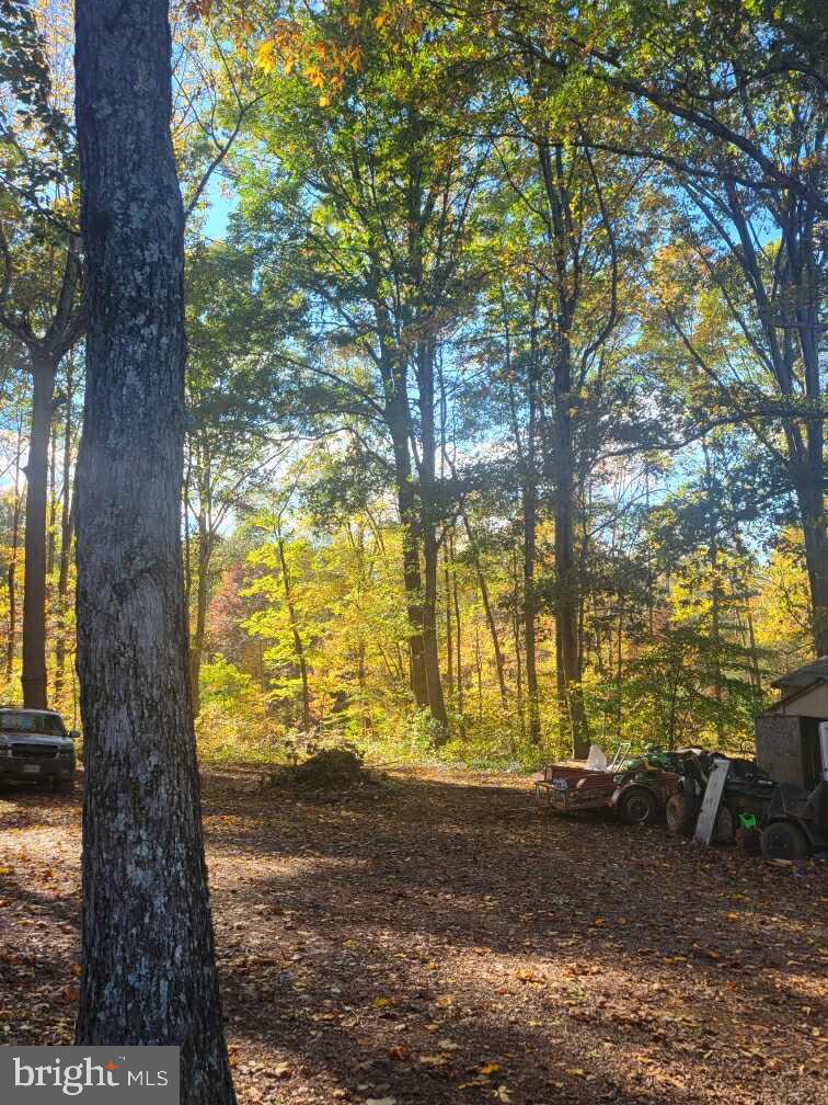 103 Spotted Tavern Road Fredericksburg, VA 22406 - Photo 22 of 31 Back of House
