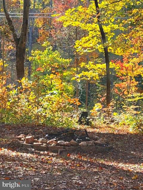 103 Spotted Tavern Road Fredericksburg, VA 22406 - Photo 31 of 31 Fire Pit