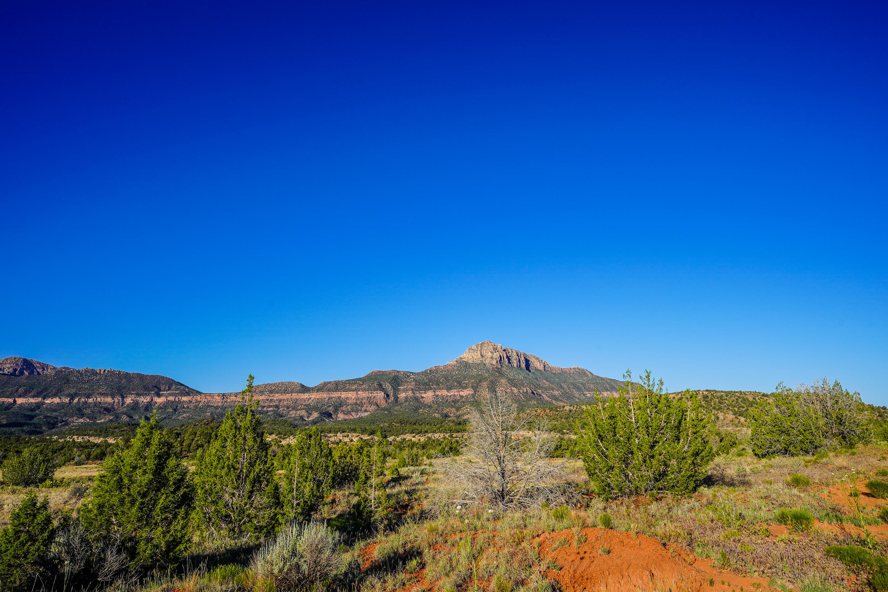 Carmel Road Rockville, UT 84763 - Photo 48 of 53 20260512-DSC03069