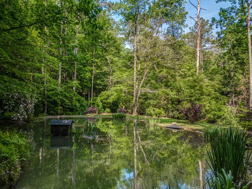 241 Green Ridge Road Jasper, GA 30143 - Photo 14 of 99 Gallery Image 14