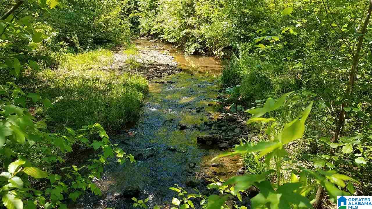 31 County Road Ashland, AL 36251 - Photo 26 of 38