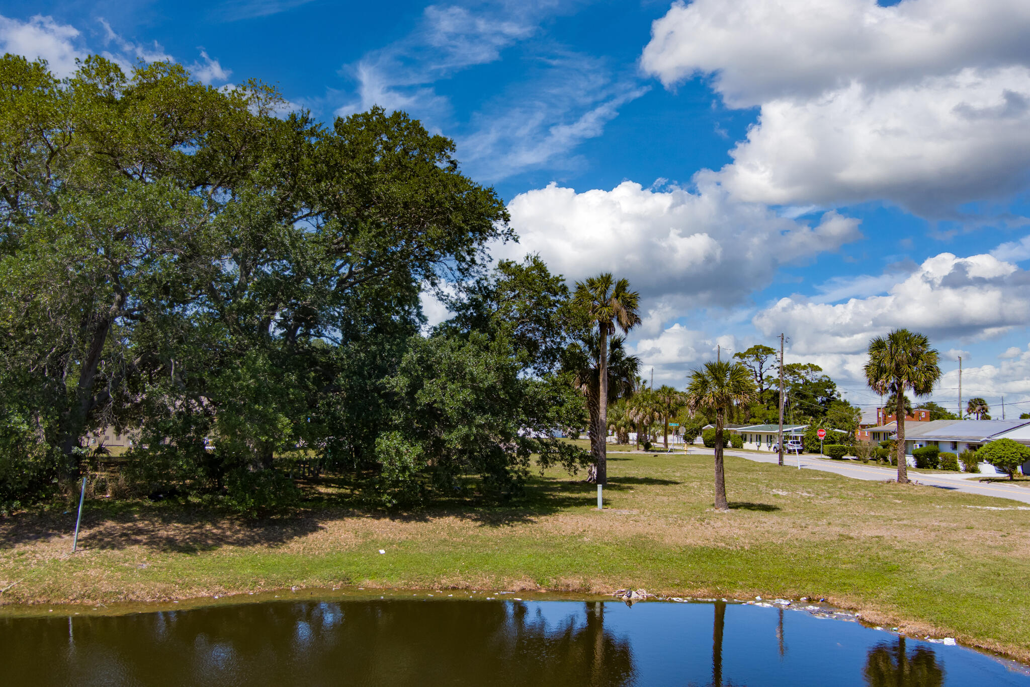 535 Bernard Street Cocoa, FL 32922 - Photo 3 of 16 a view of swimming pool with trees in the background