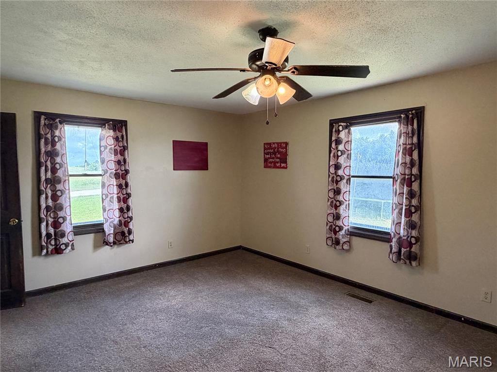 8794 Jimmy O'Donnell Road Hannibal, MO 63401 - Photo 16 of 39