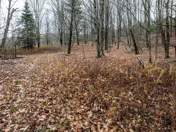$168,000 | 0 Swart Hollow Road, Oneonta, NY 13820