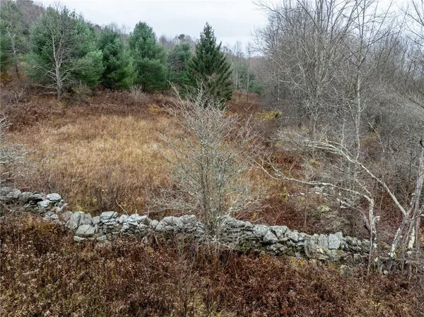 $168,000 | 0 Swart Hollow Road, Oneonta, NY 13820