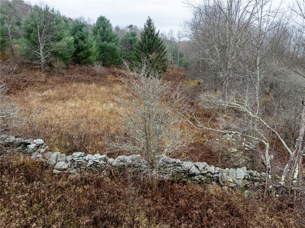 0 Swart Hollow Road Oneonta, NY 13820 - Photo 13 of 19