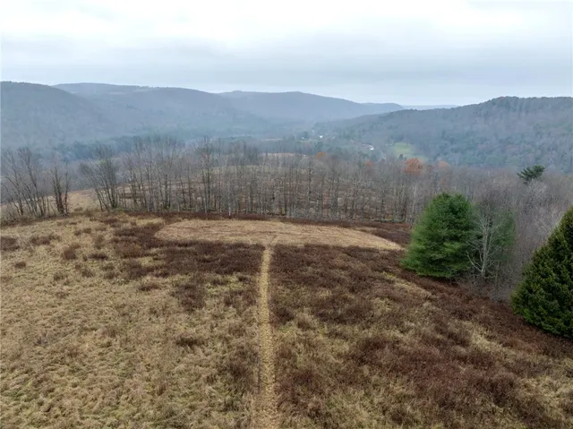 $189,000 | 0 Swart Hollow Road, Oneonta, NY 13820