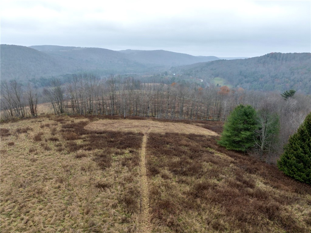 0 Swart Hollow Road Oneonta, NY 13820 - Photo 14 of 19