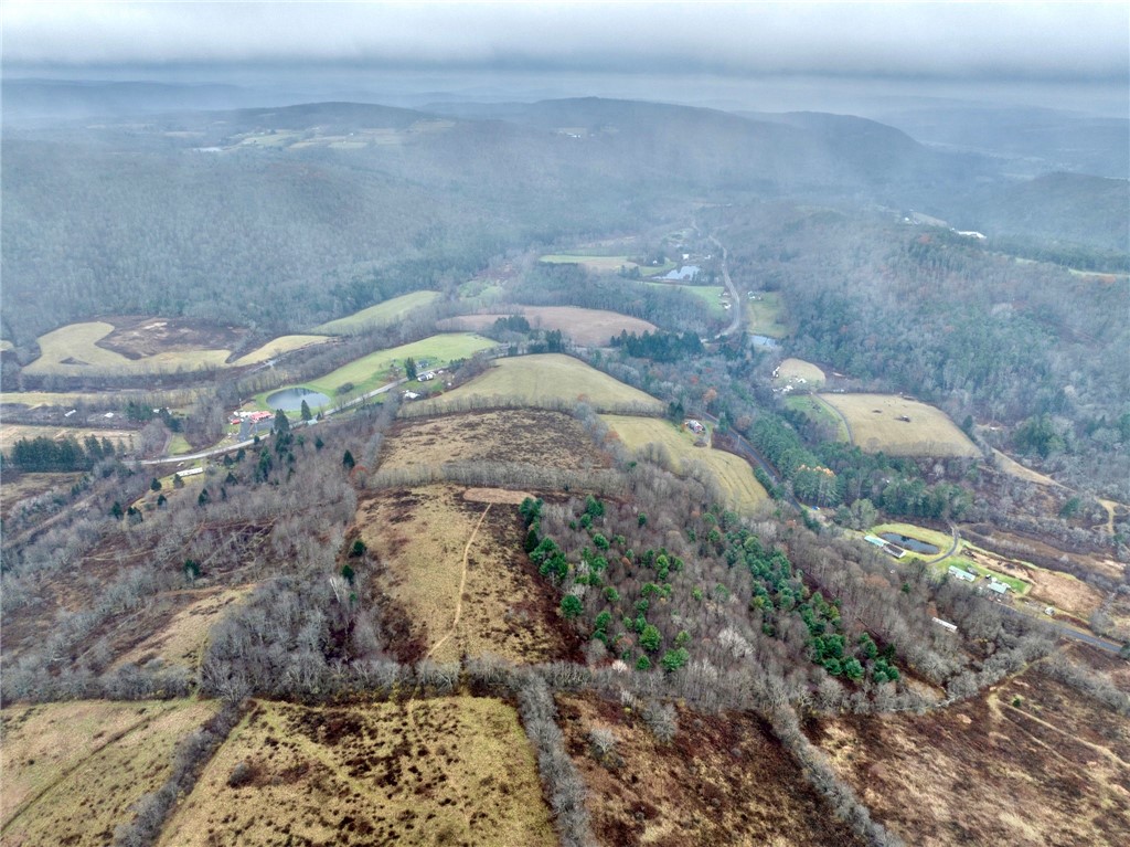 0 Swart Hollow Road Oneonta, NY 13820 - Photo 16 of 19