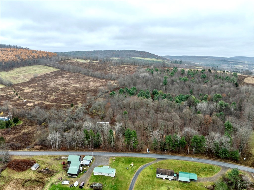 0 Swart Hollow Road Oneonta, NY 13820 - Photo 5 of 19