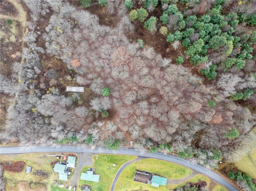 0 Swart Hollow Road Oneonta, NY 13820 - Photo 6 of 19