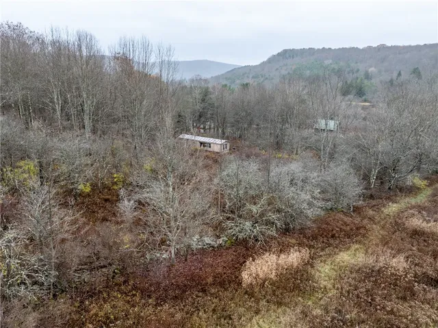 $189,000 | 0 Swart Hollow Road, Oneonta, NY 13820