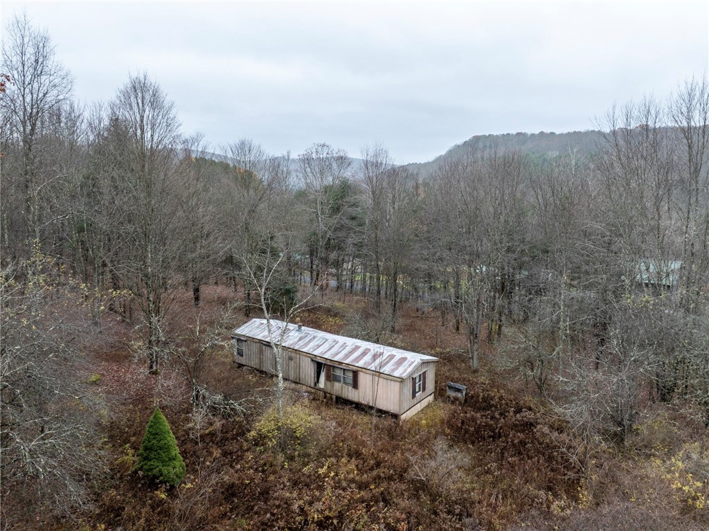 0 Swart Hollow Road Oneonta, NY 13820 - Photo 9 of 19