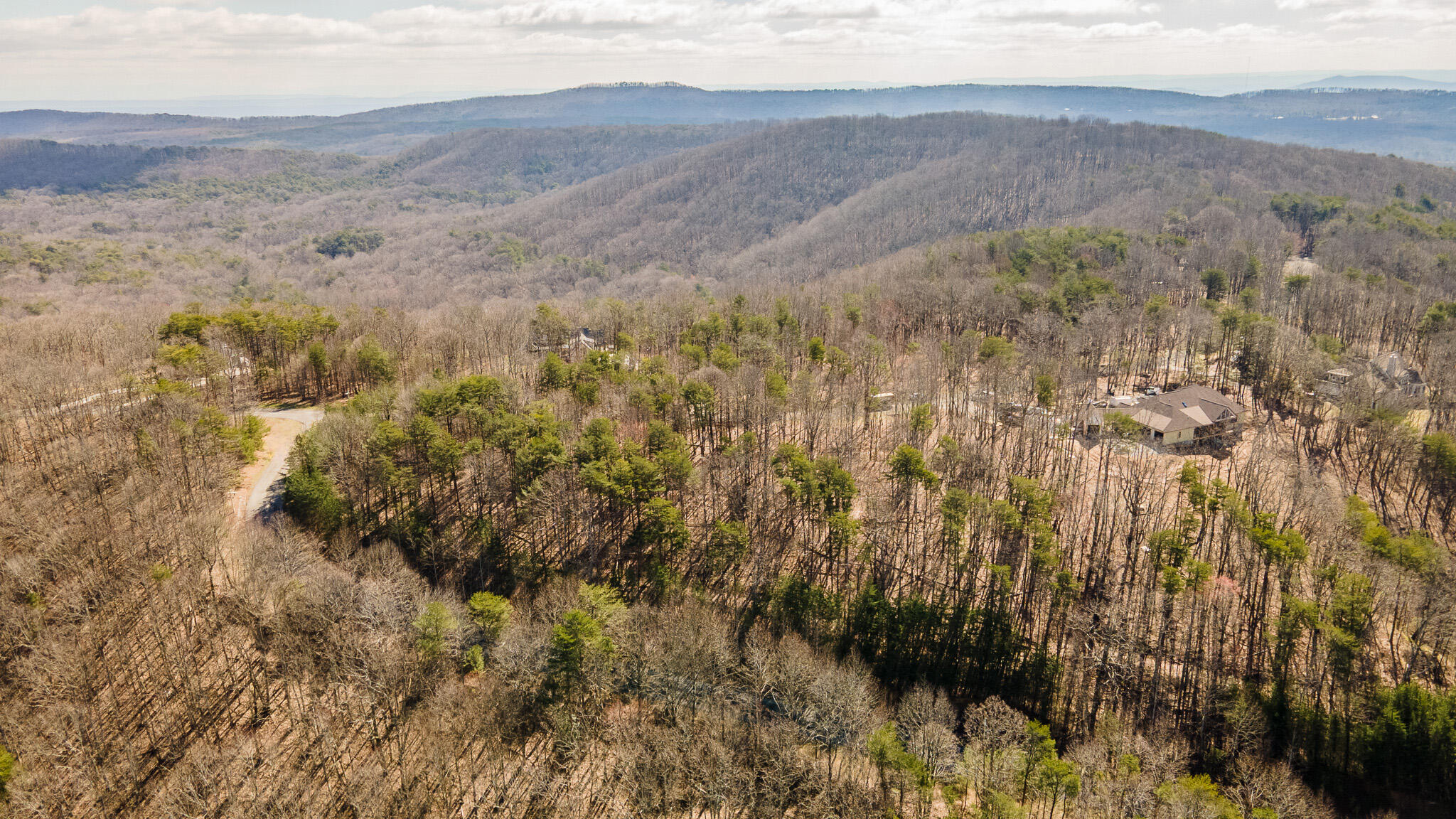 0 South Shivas Crest Rising Fawn, GA 30738 - Photo 2 of 9 DJI_0008-HDR