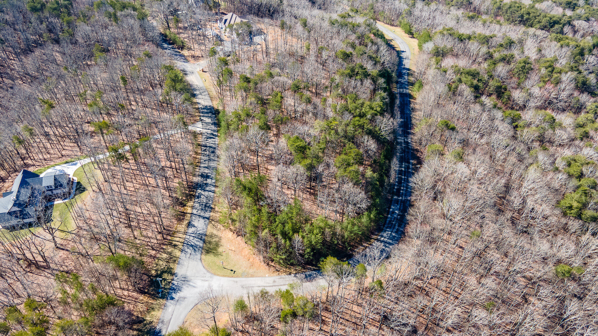 0 South Shivas Crest Rising Fawn, GA 30738 - Photo 6 of 9 DJI_0992-2-HDR