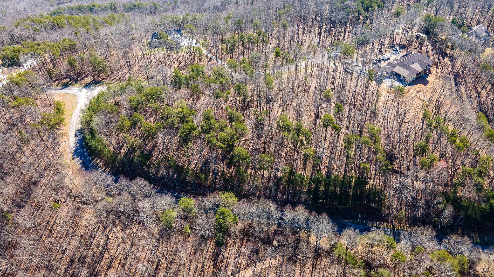 0 South Shivas Crest Rising Fawn, GA 30738 - Photo 7 of 9 DJI_0995-2-HDR