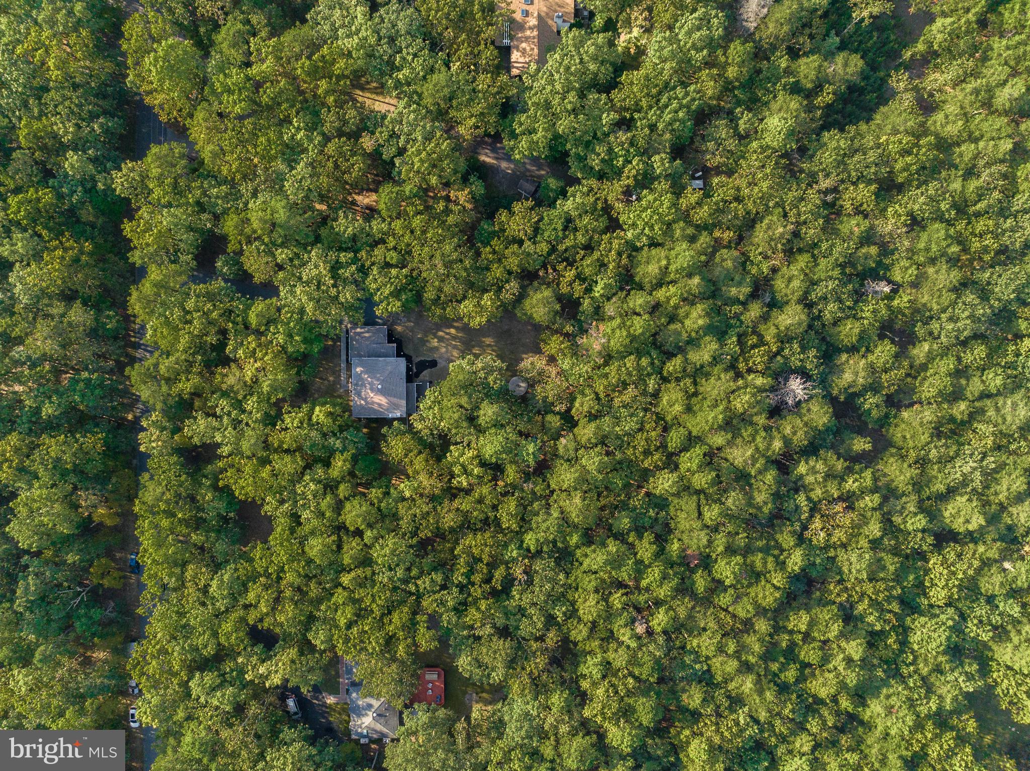 27 Bearhead Road Medford, NJ 08055 - Photo 54 of 57