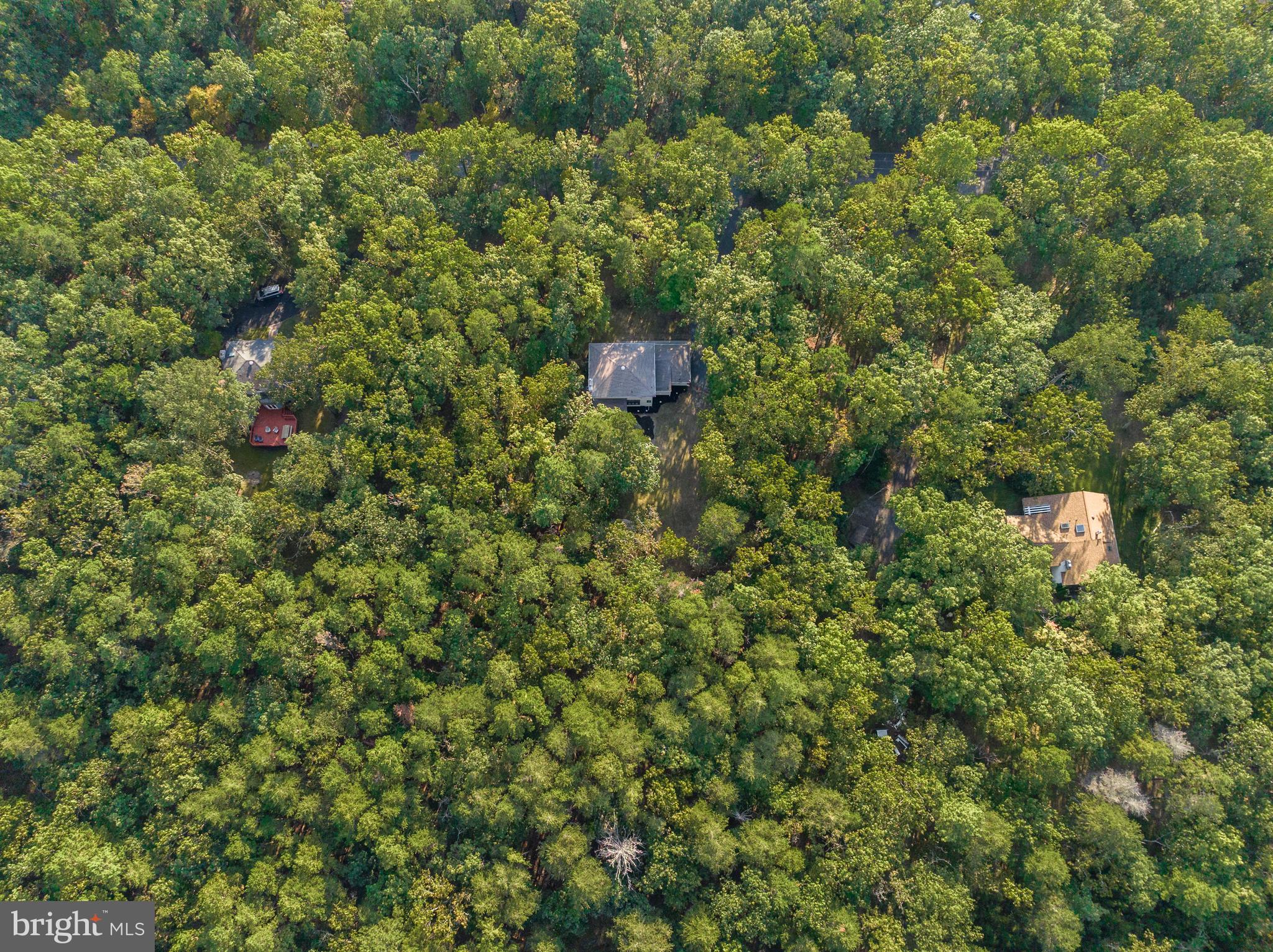 27 Bearhead Road Medford, NJ 08055 - Photo 56 of 57 view of a bunch of trees and bushes