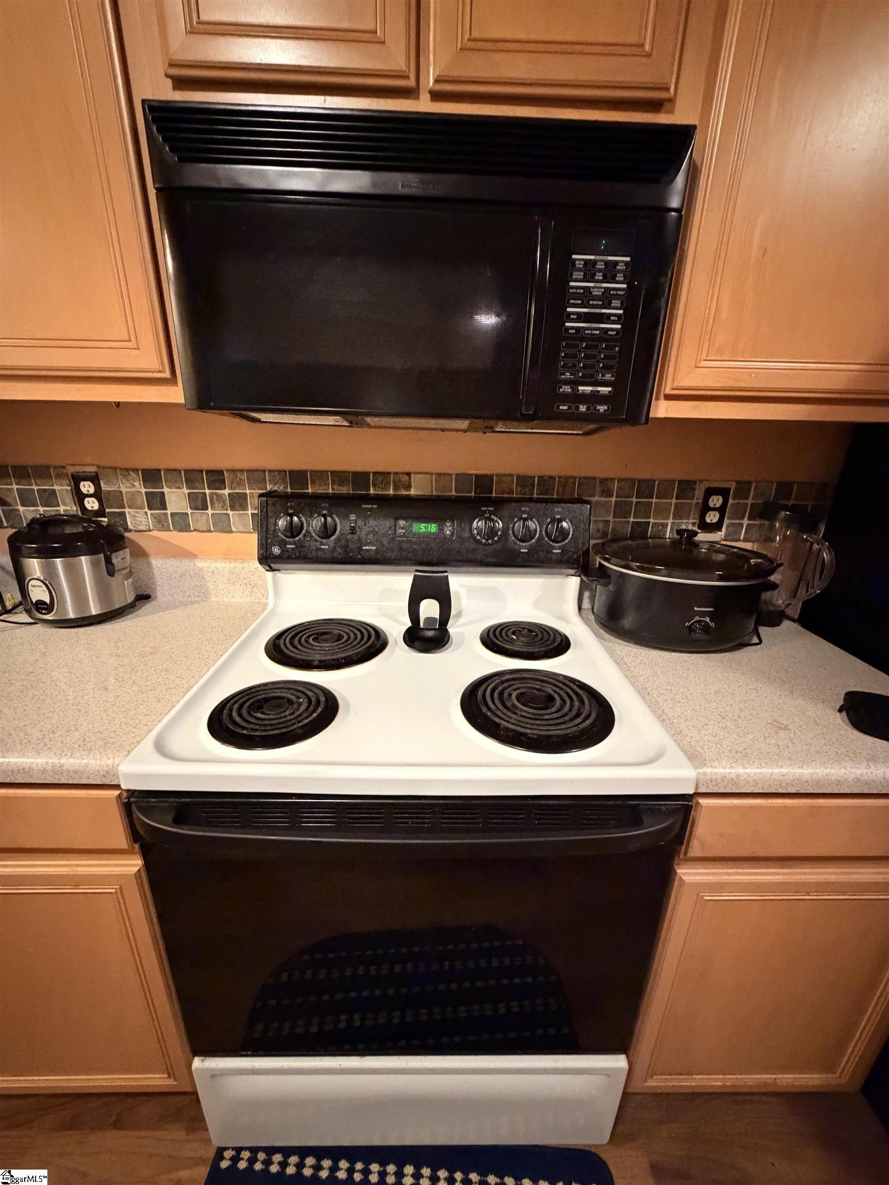 300 Canewood Place Mauldin, SC 29662 - Photo 8 of 21