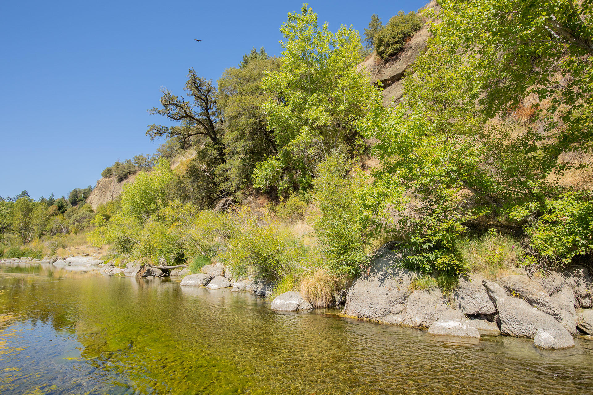 0 Bear Canyon Road Garberville, CA 95542 - Photo 78 of 107 SW__9683