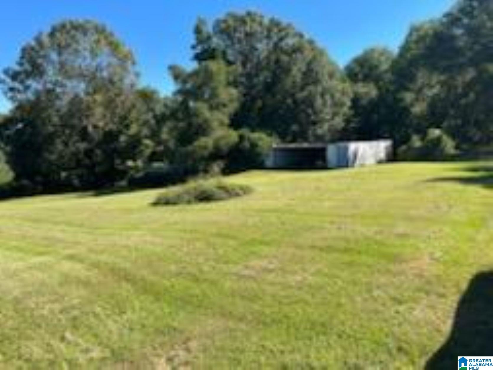 3046 Payne Lk Road Brent, AL 35034 - Photo 6 of 13