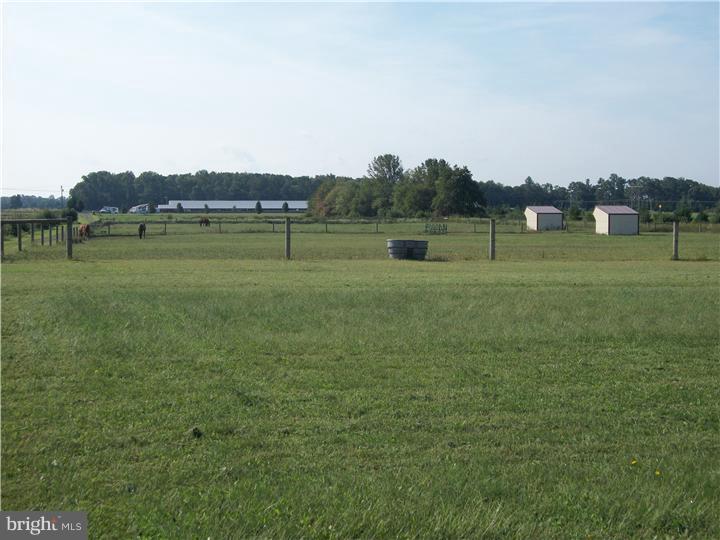 223 Hammondtown Road Harrington, DE 19952 - Photo 23 of 23 Front Yard