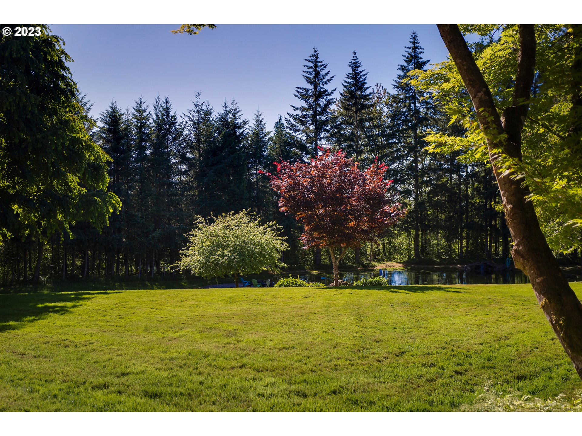 37573 Southeast Gordon Creek Road Corbett, OR 97019 - Photo 24 of 27 Backyard