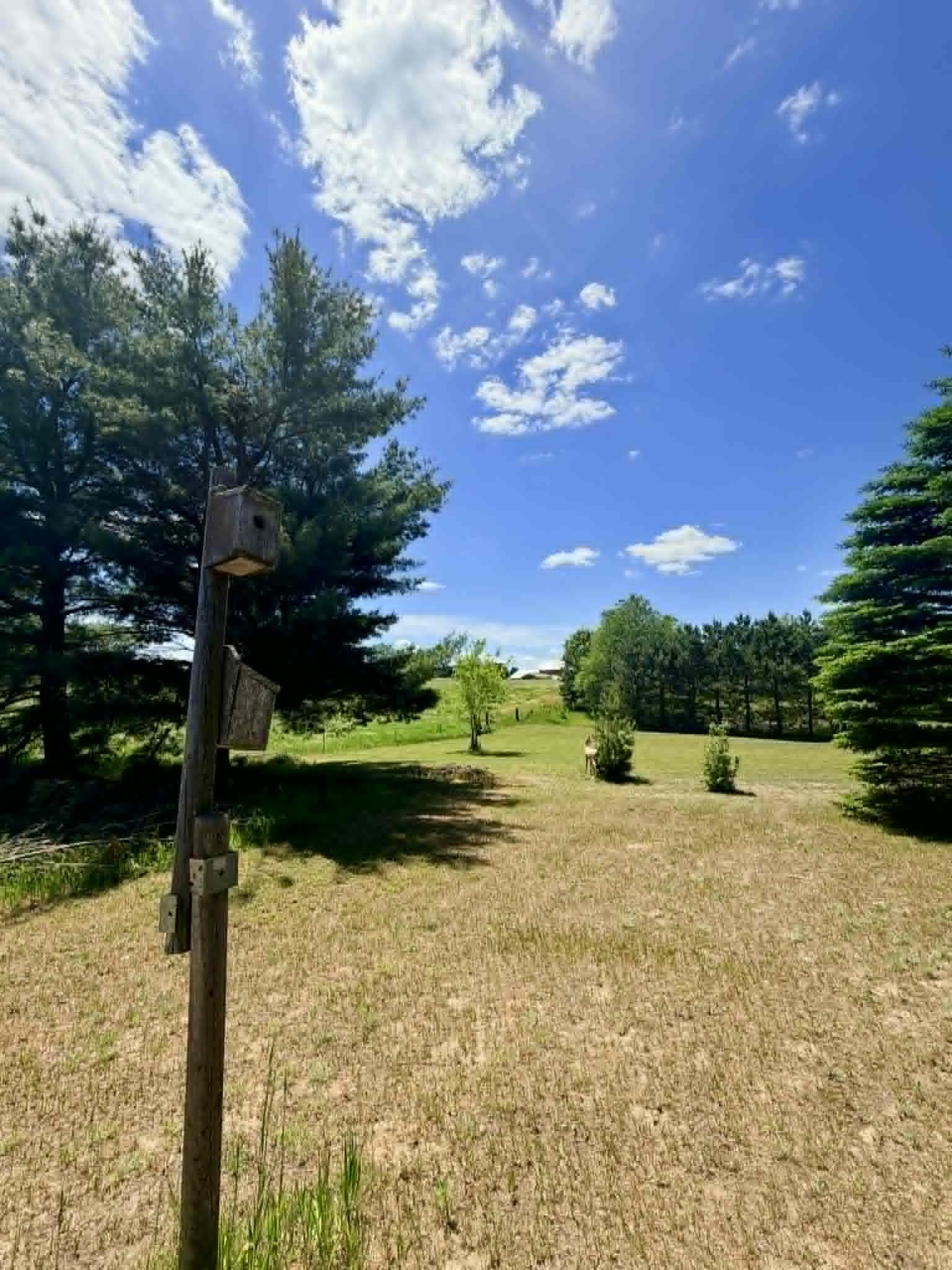 196 East Center Road Kingsley, MI 49649 - Photo 58 of 68