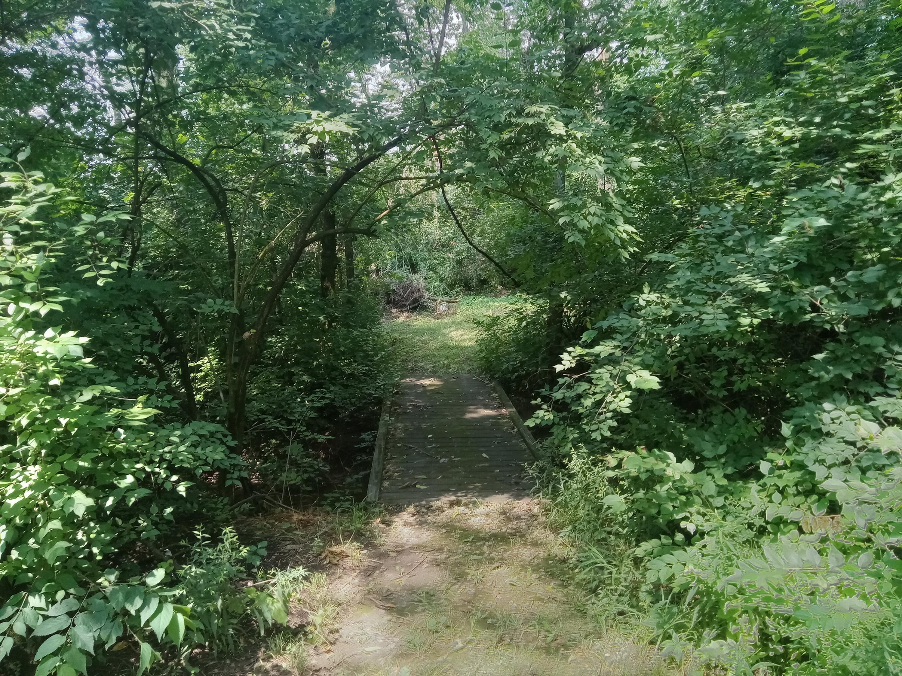6978 Cook-Jones Road Waynesville, OH 45068 - Photo 33 of 38 20250627_120146